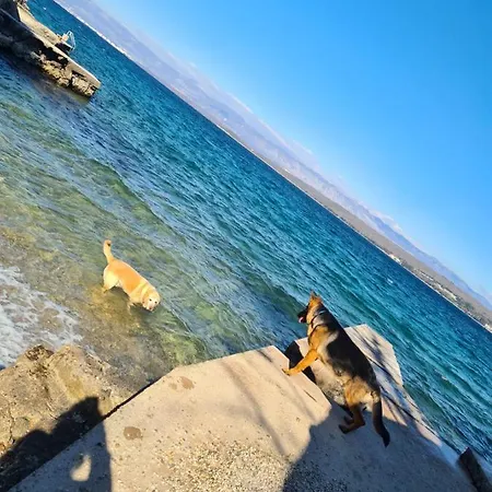 Vikendica Villa Carpe Diem