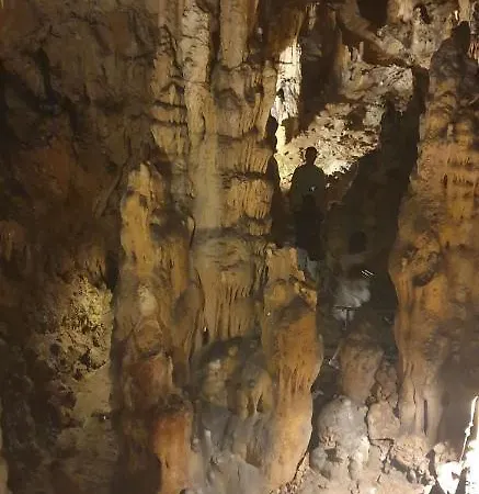 Villa Carpe Diem Vikendica *