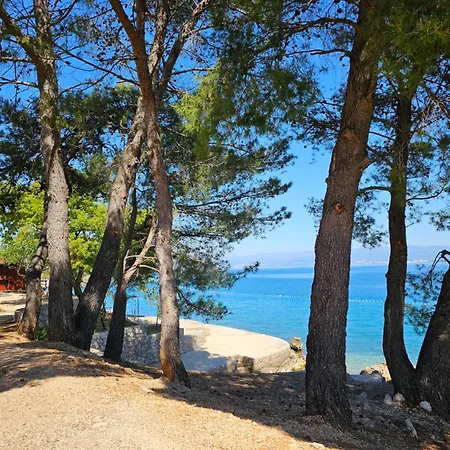Σπίτι διακοπών Carpe Diem Vantacici