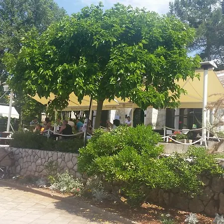 Carpe Diem Vantačići